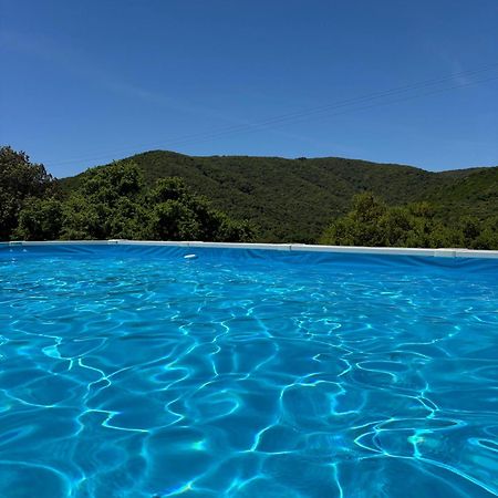 Azienda Agrituristica S'Argalasi - B&B - Affittacamere Loc S'Argalasi Austis Eksteriør billede