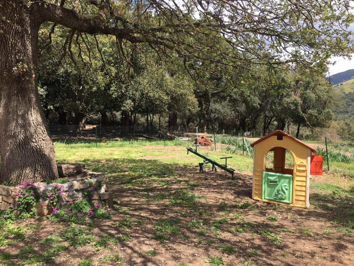 Azienda Agrituristica S'Argalasi - B&B - Affittacamere Loc S'Argalasi Austis Eksteriør billede