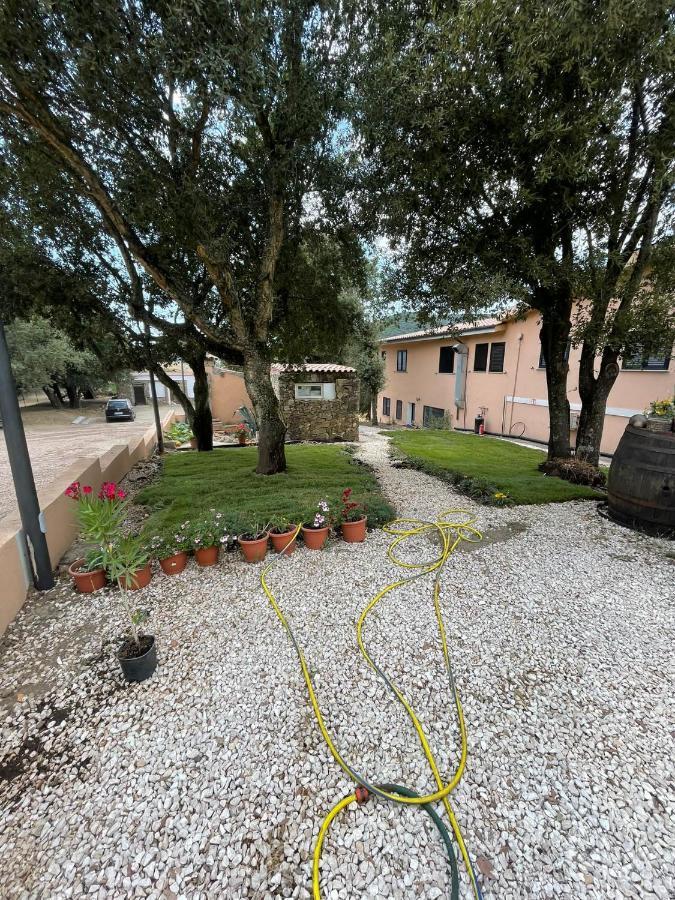 Azienda Agrituristica S'Argalasi - B&B - Affittacamere Loc S'Argalasi Austis Eksteriør billede